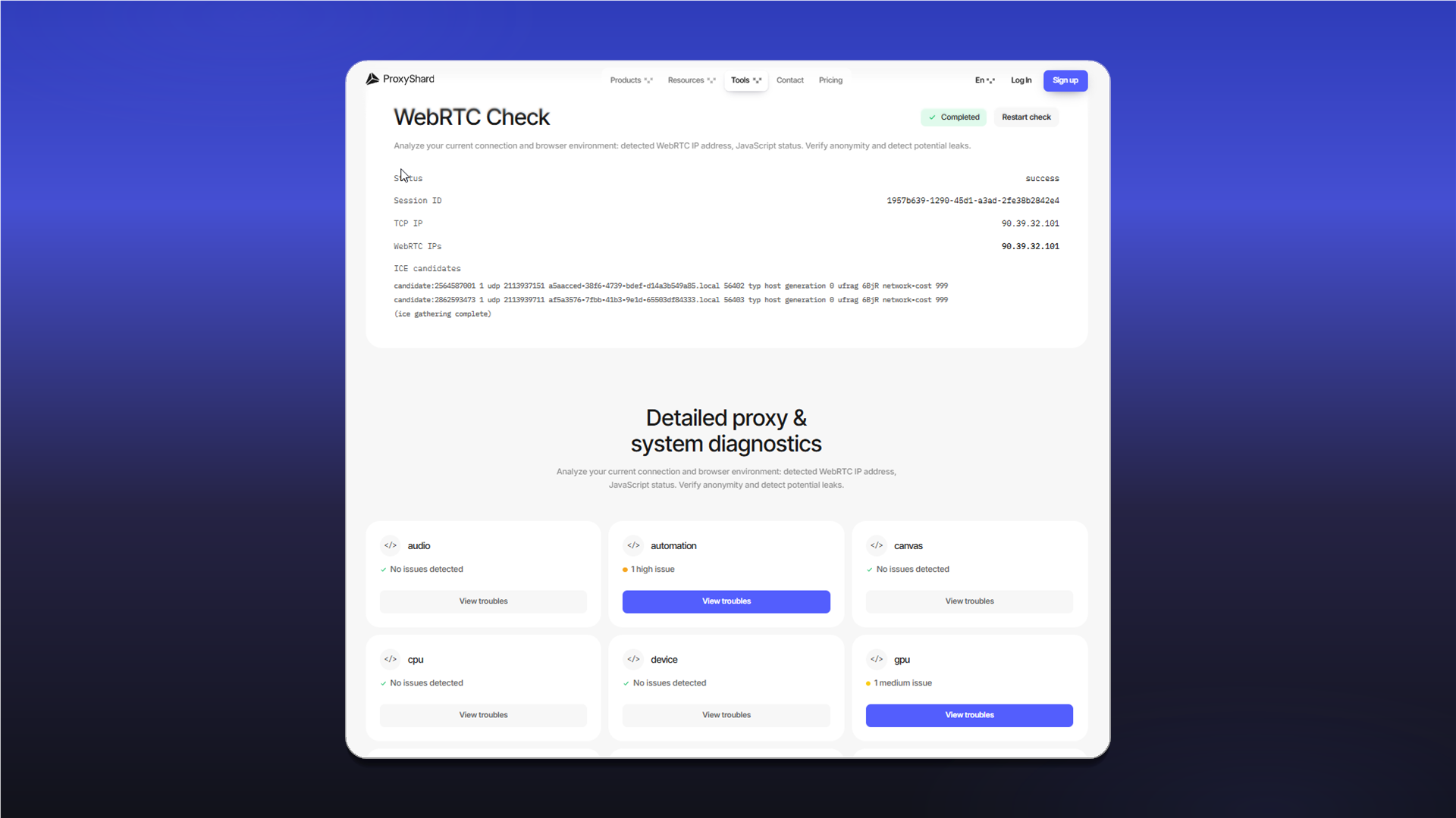 IP Checker 详细诊断