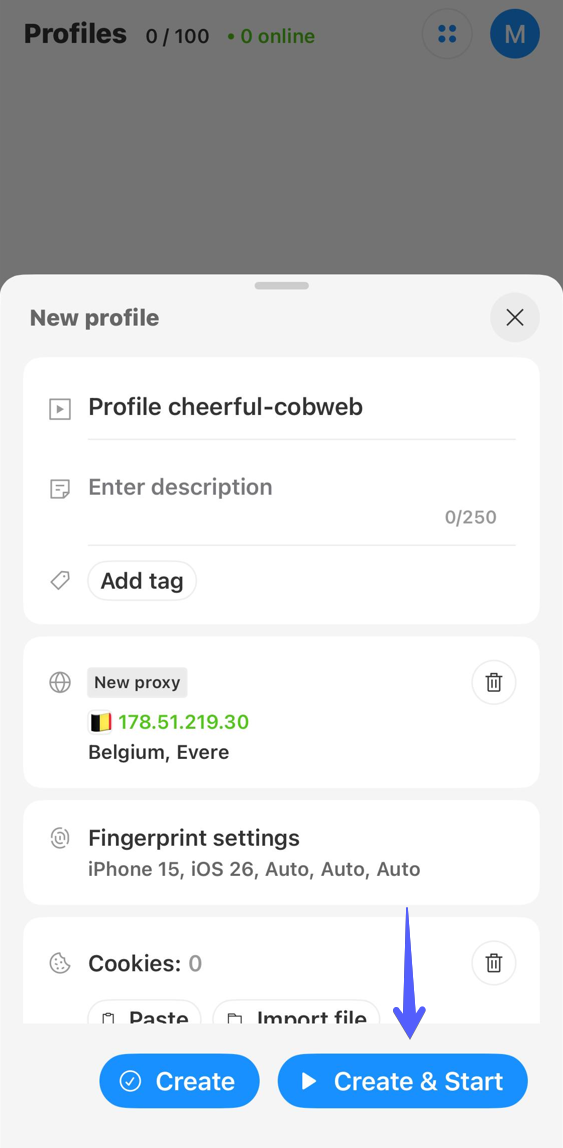 启动使用代理的 Octo Browser 配置文件