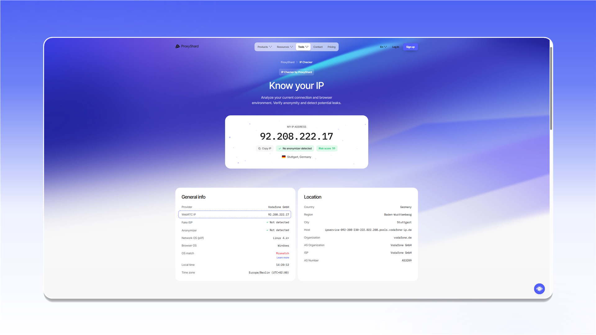 Correct WebRTC test result